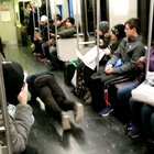 This creepy crawly in the subway