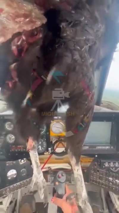 Angry Birds 