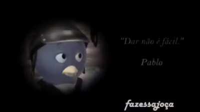Quem sabe sabe