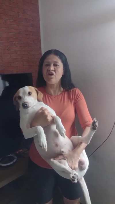 Cachorro ateu!