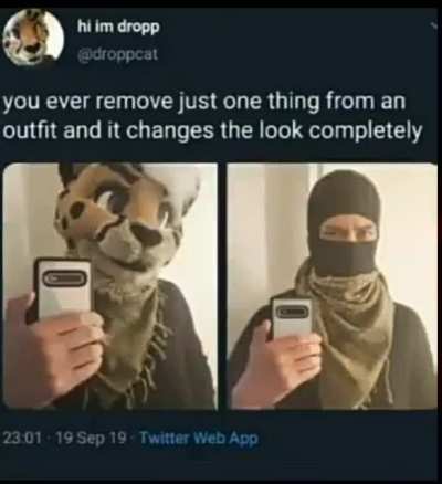 me at the next furrycon💀