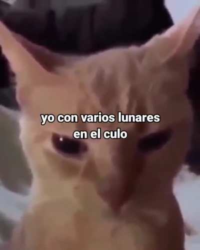 Oh no