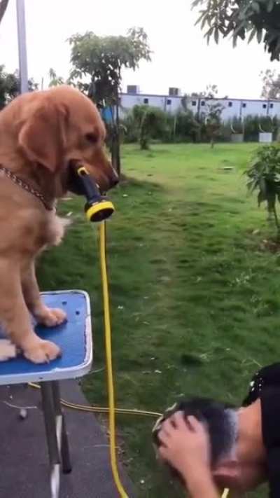 The Golden Shower