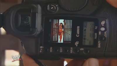 Victoria: WWE Viva Las Divas