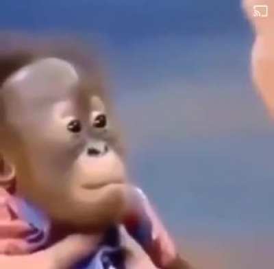 Monke