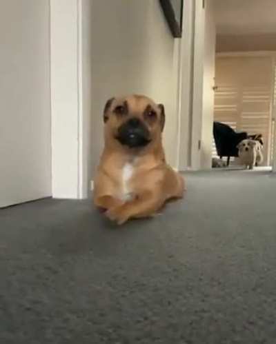 What’s he up too?