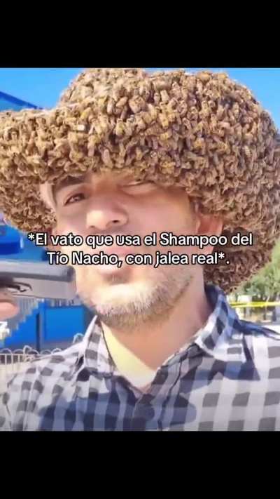 🐝🍯