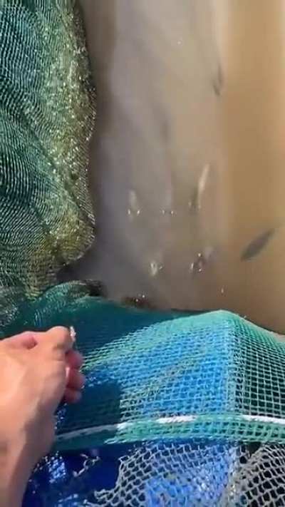 Archer fish can actually shoot water