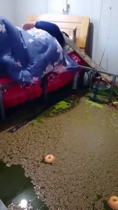 IMAGEM RARA DIRETAMENTE DO DUPLEX DO MUCA