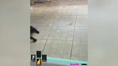 Rat attack