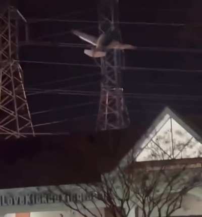 Emergency crews are responding to a small aircraft that has crashed into high voltage powerlines, causing massive power outages too 80,000 people in Montgomery county MD