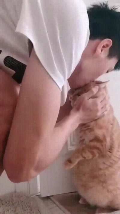 Cat.