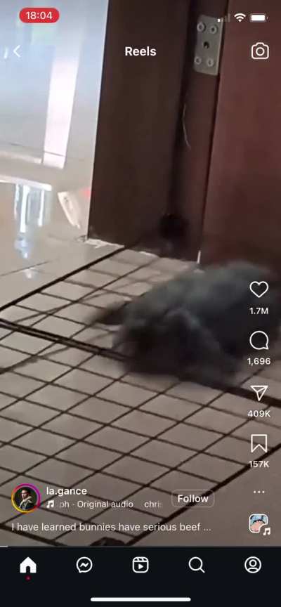 Cute lil’ Sploot. 