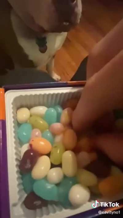 jelly bean scream