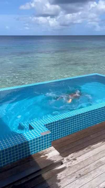 Take a dip