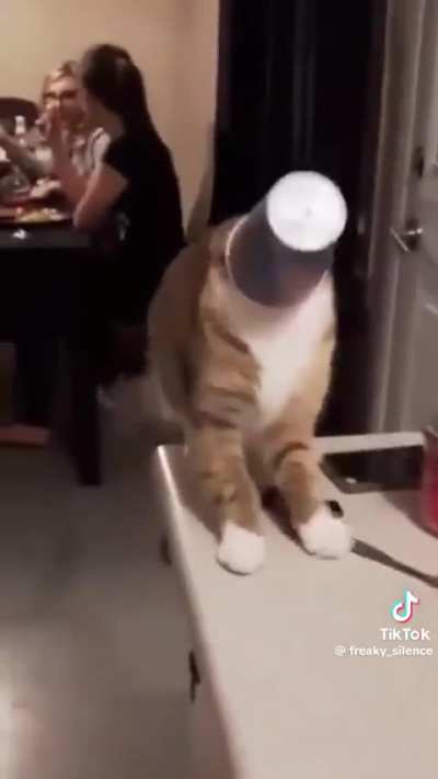 Tf2 cats