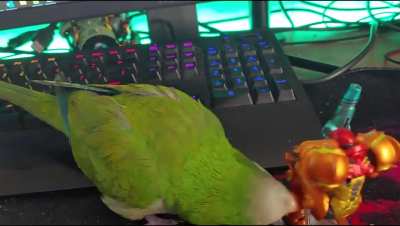 Unreleased footage of Samus fighting a new type of Ch0zo