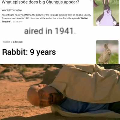 NOOOOOOOOOO!