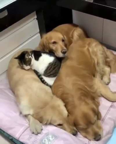 The perfect spot