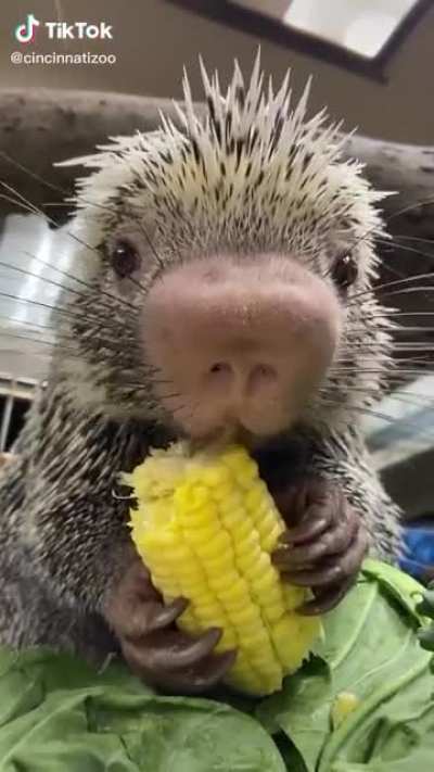 Snack time