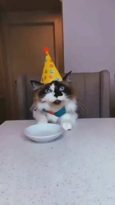 they ruined my party