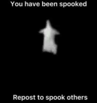 it's spooky time
