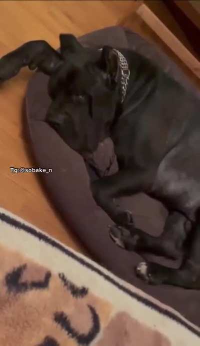Sweet dreams