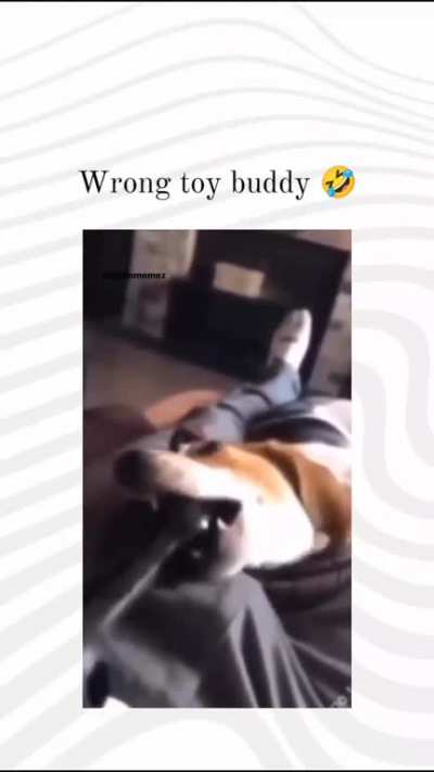 Not that toy