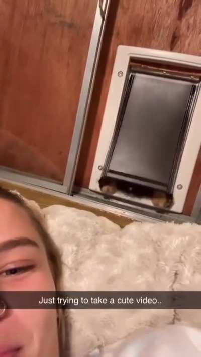 Paying the rent