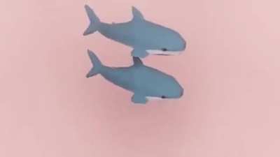 he