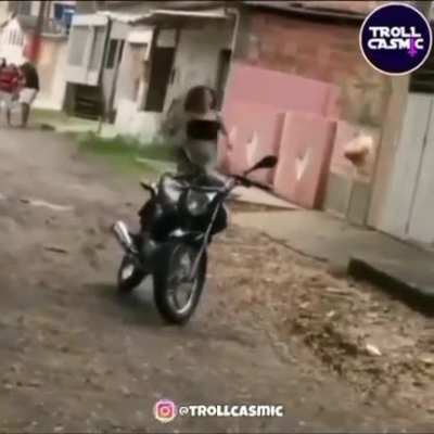 Всё задумывалось совсем не так. Где-то в план вкралась ошибка.