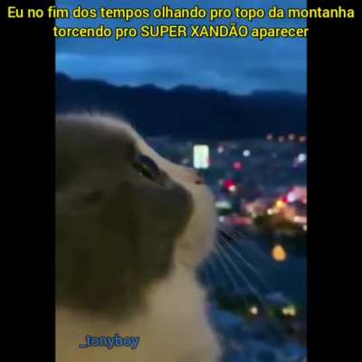 SEM PRESSÃO