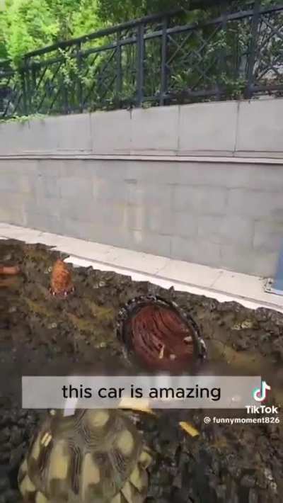 The type of shit I be on