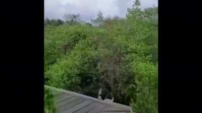 Promosikan wisata daerah kalian