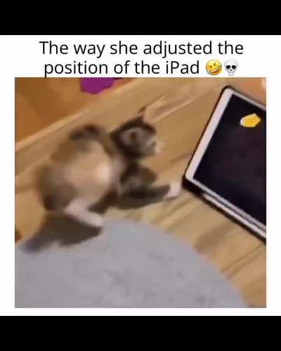 Adorable 😍