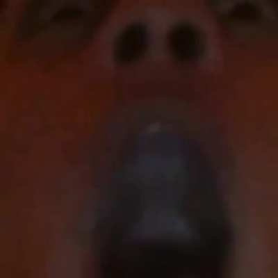 Don't ask