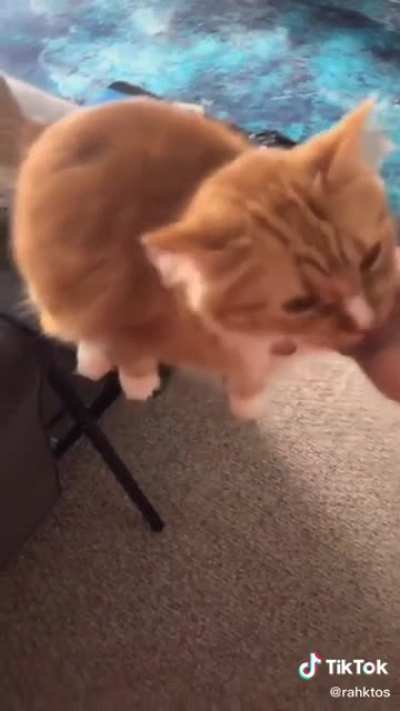 Welcome Home Cheater