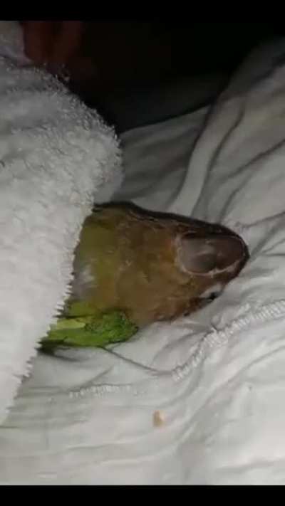 Тихий час