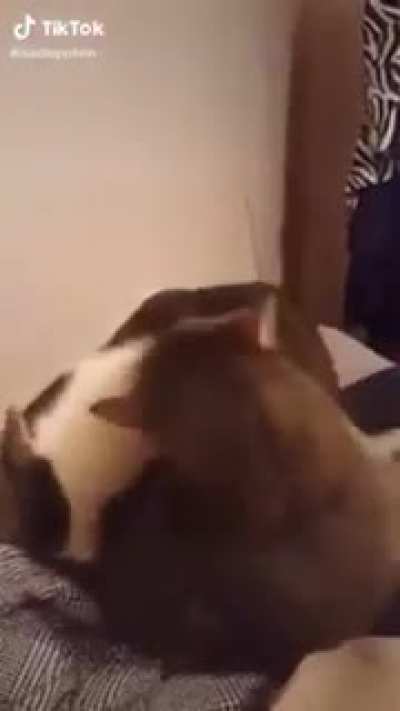 Attack!
