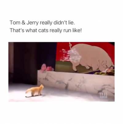 Tom