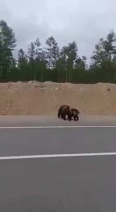 A story with a beginning, middle, and unexpected end. From my Uncle, a Russian trucker in Siberia. I have lots of these, if you all would like to see.