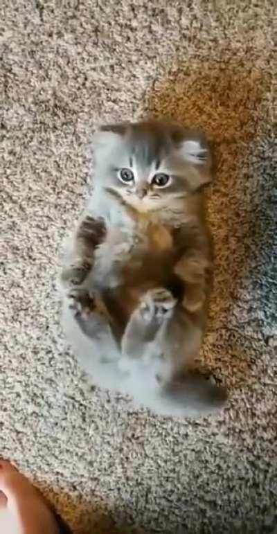 Oh. My. God.