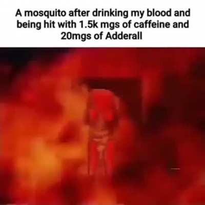 *60mg adderall too busy fuckin dudes to fix