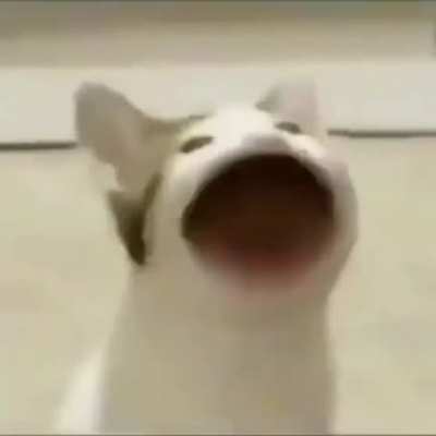 Shupenme el pico