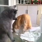 Fish are our friends not food, leave them tf alone