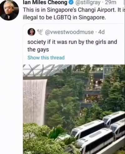 People are dumb