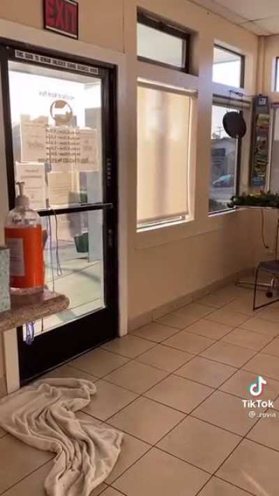 Old lady pounds on door and screams because the groomer isn’t open yet