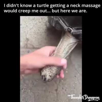Thanks I hate turtle neck massages