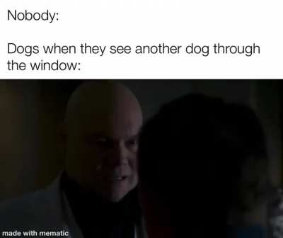 Aaaaaaaaaaaaaaaaaahhhhh