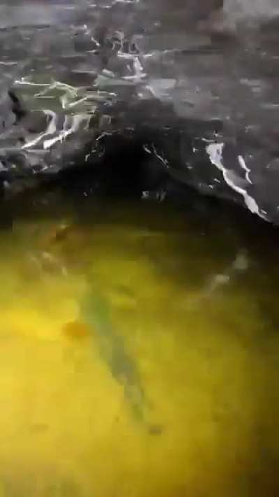 Maybe maybe maybe